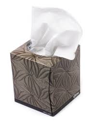 Missing in action: I had no tissue an hour of great need. Pic: wikipedia.org